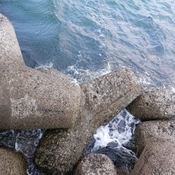 寒の戻り、穴釣り釣行