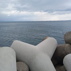 ちょい穴釣り〜仮屋