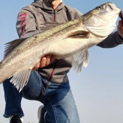 春がきたかな？いきなりあと少しでランカー