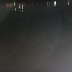 ロックフィッシュ1