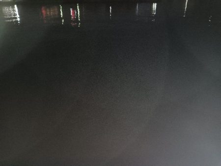 ロックフィッシュ1