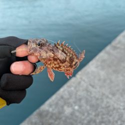 陸っぱり釣行記