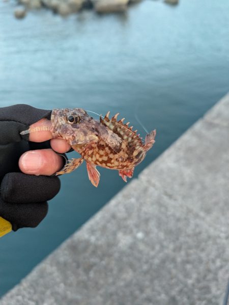 陸っぱり釣行記