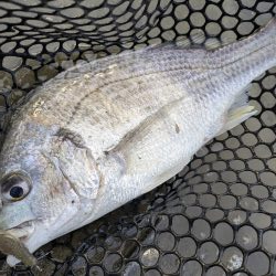 広島チニング雨パワー炸裂？