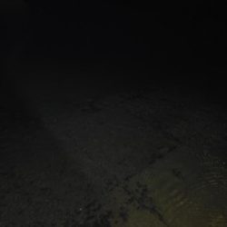 メバリングのはずが