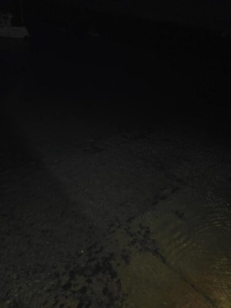 メバリングのはずが