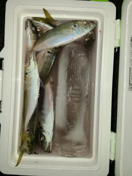 また冬に舞い戻り