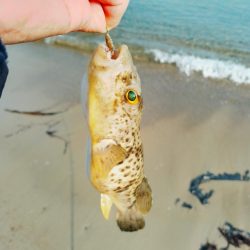 まだキスには早い…