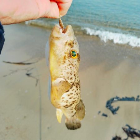 まだキスには早い…