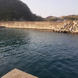 地合いわずか10分