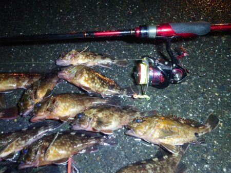 ボートメバリング