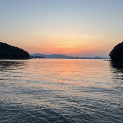 チヌ狙いでマダイの大物が釣れました