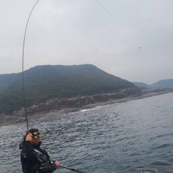 和歌山市江(吉丸渡船)でグレ釣りの予定が・・