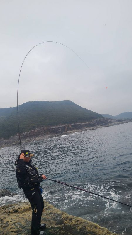 和歌山市江(吉丸渡船)でグレ釣りの予定が・・