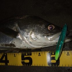 流れの効いたタイミングで