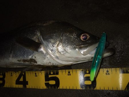 流れの効いたタイミングで