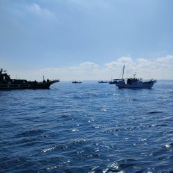 トラフグ☆えさ政より