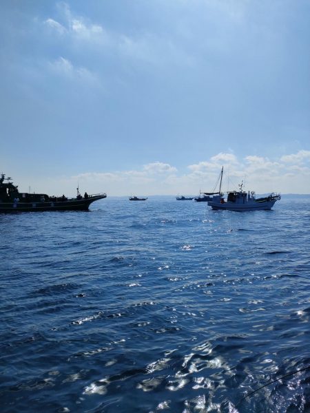 トラフグ☆えさ政より