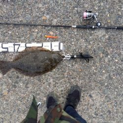 4年ぶりにネットイン