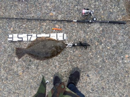 4年ぶりにネットイン