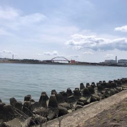 大潮ど干潮釣行