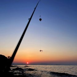 メバルちゃんに会いたくて