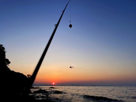 メバルちゃんに会いたくて