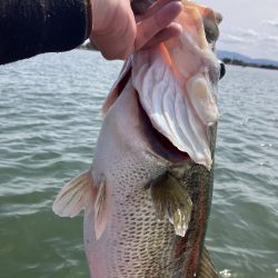 北山田ロクマル5キロオーバー!