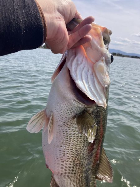 北山田ロクマル5キロオーバー!