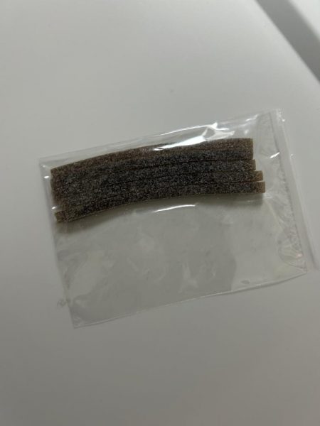 秋田県男鹿市で根魚！