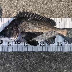 イチノ兄弟、釣果!