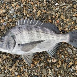 イチノ兄弟、釣果！