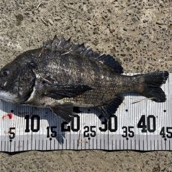 イチノ兄弟、釣果！