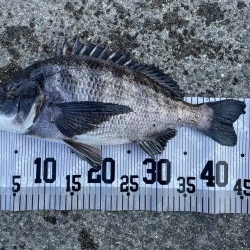 イチノ兄弟、釣果!