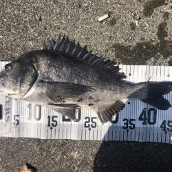 イチノ兄弟、釣果!