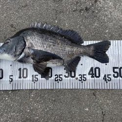 イチノ兄弟、釣果！