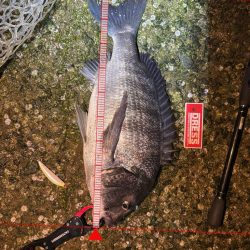 先行者さんのおかげです!!