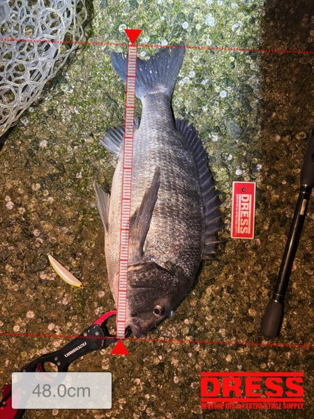 先行者さんのおかげです!!