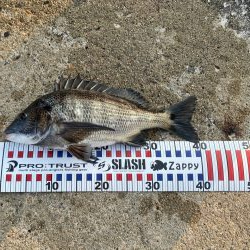 久しぶりの釣果で五目達成