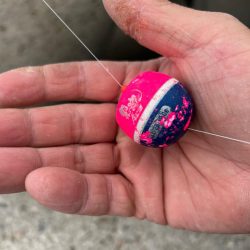 魚津港フカセ釣り