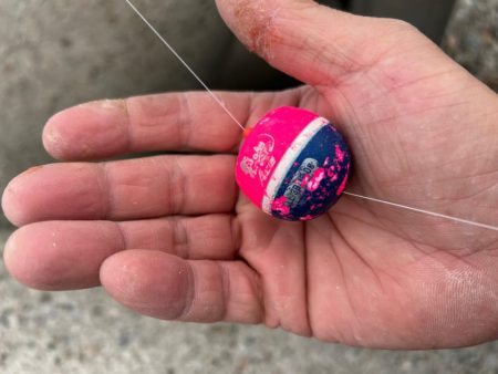 魚津港フカセ釣り