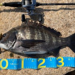 淀川ブリームゲーム