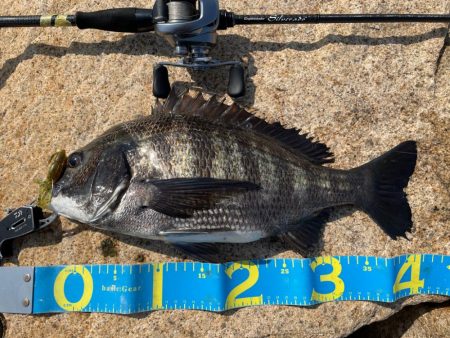 淀川ブリームゲーム