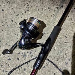 アジングでヤリイカ、、