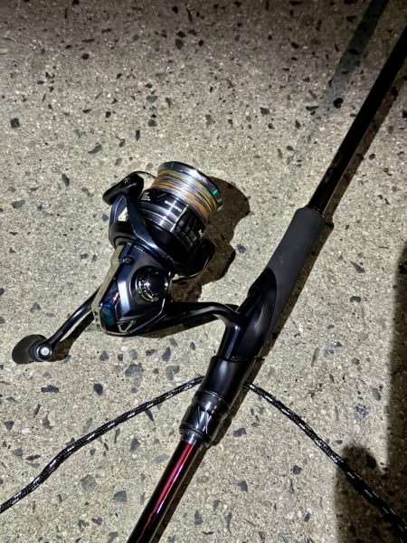 アジングでヤリイカ、、