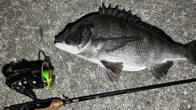 久しぶりの釣果