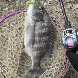 ぽかぽか快適チニング！