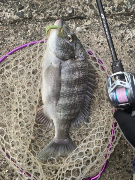 ぽかぽか快適チニング！