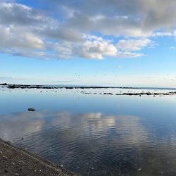 フロートメバリング!