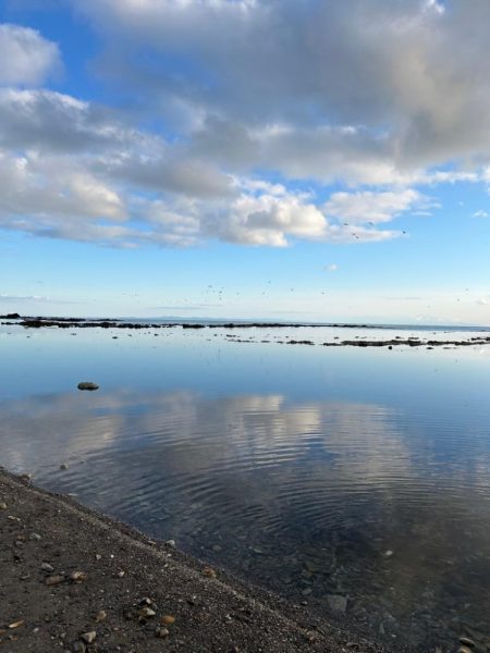 フロートメバリング!